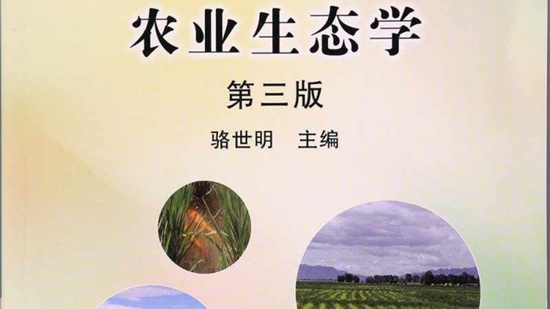 农业项目标准规范：构建高效农业生产的基石