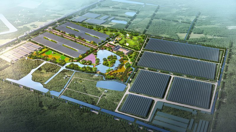 智能温室大棚一亩造价几何：揭秘成本构成与选型策略