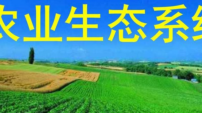 果蔬配送O2O平台参数对比