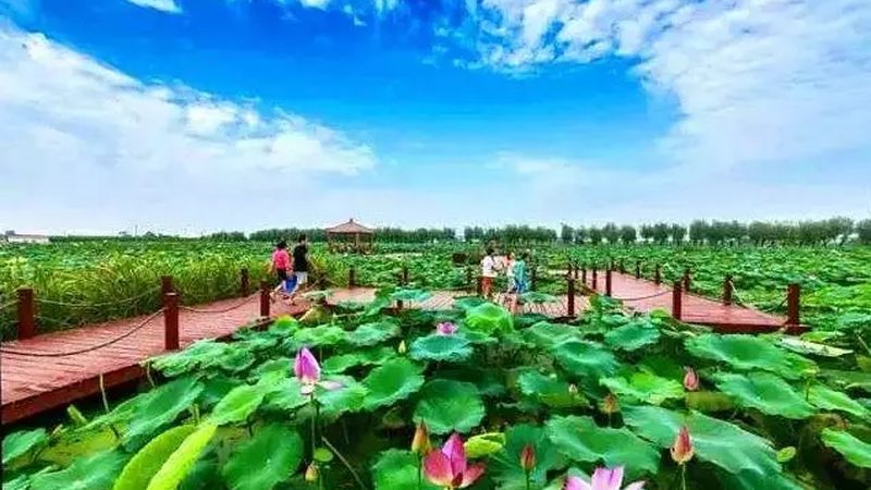 休闲农业公司资质标准要求