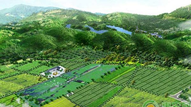 水稻种植保险投保：从政策到实操的全流程拆解