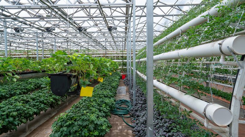 农业种植培训：费用构成与合理选择**