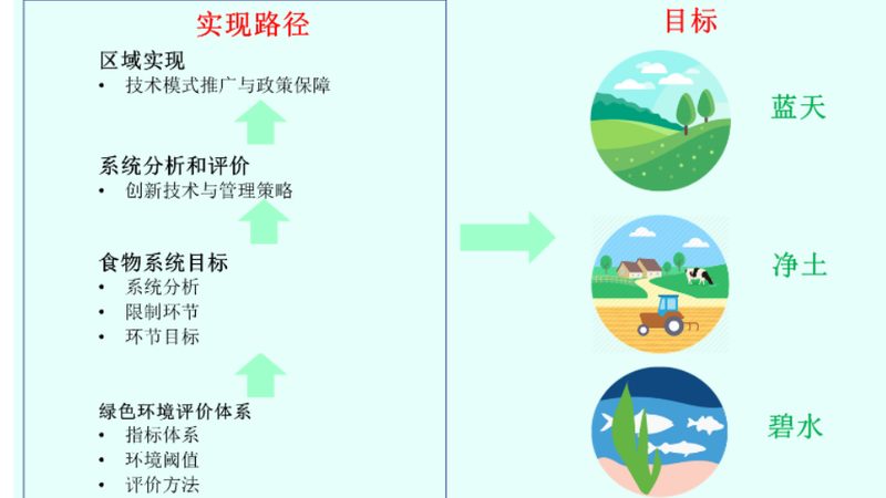 农业种植技术员证补贴政策：解读与影响**