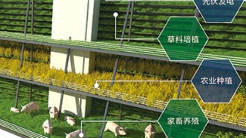 城市屋顶农场，打造都市绿色新地标