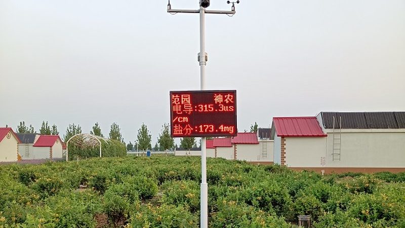 农业产业园可行性研究报告：如何准确评估与对比**