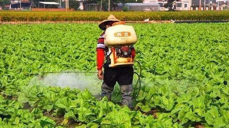 绿色食品认证生产厂家资质